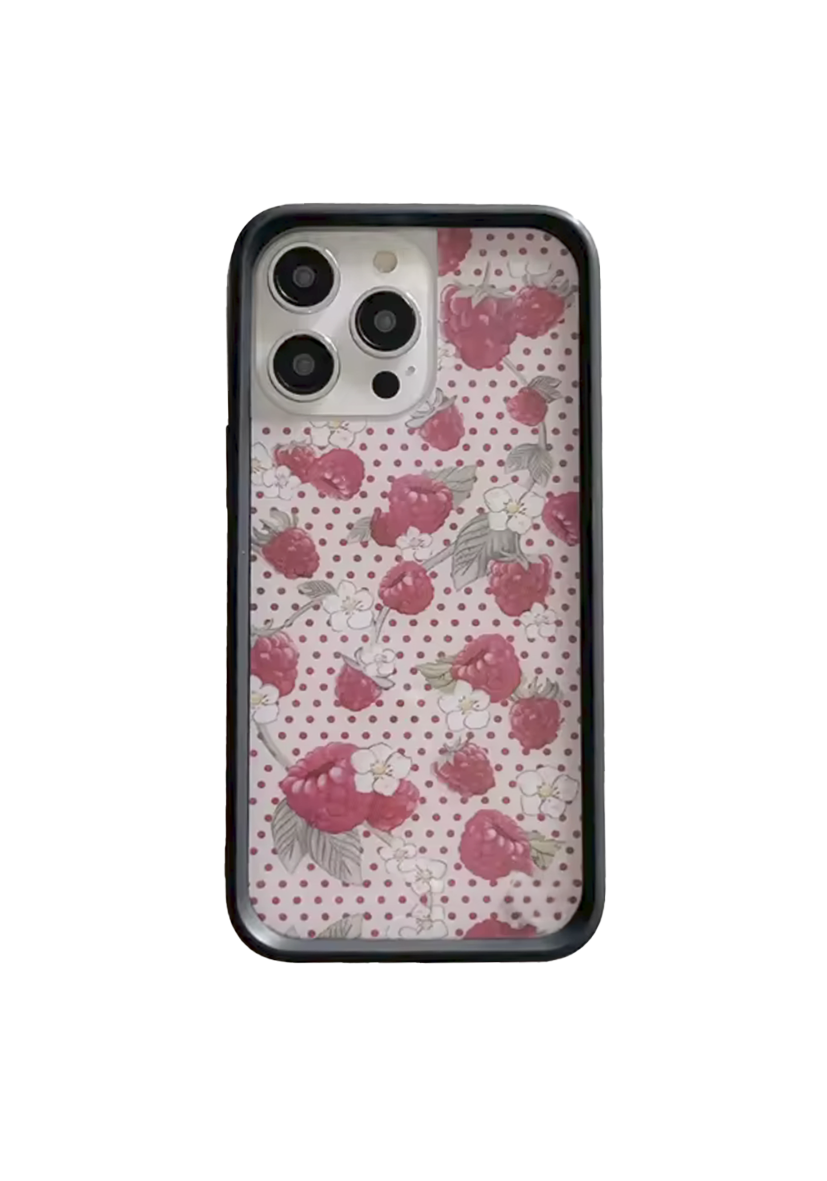 Fruits Blast Case